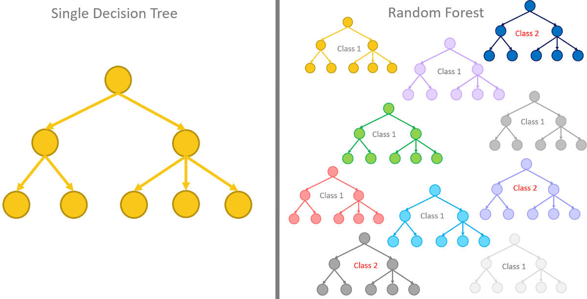 Decision Trees and Random Forests